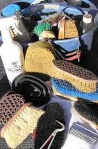 How to Groom for a Horse Show