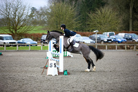 British showjumping training