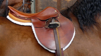 Cleaning an English Saddle