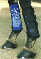 Prevent Equine Shin Splints 