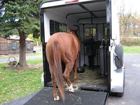 Getting a Spooked Horse into a Trailer Getting a Spooked Horse into a Trailer