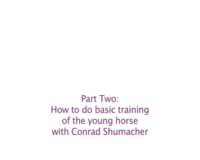 Basic training of the young horse