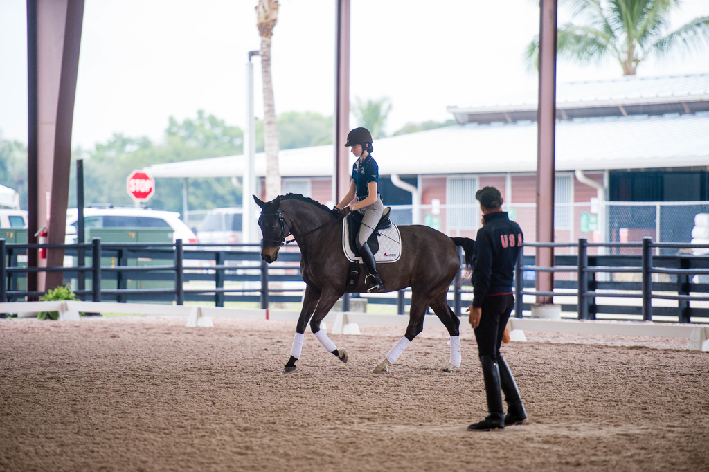 Horse and rider cantering in a lesson