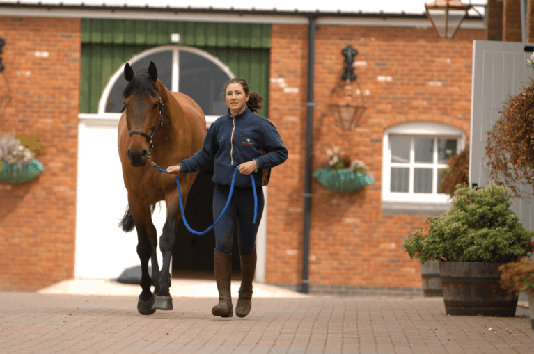 Woman leading bay horse on a yard