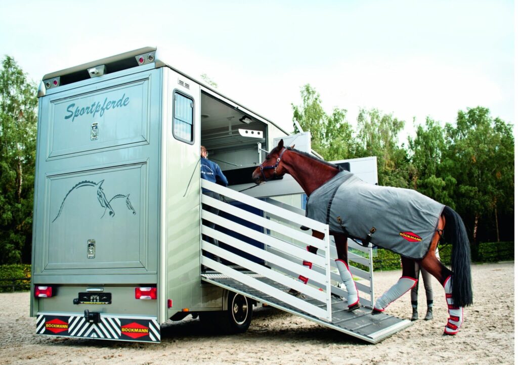 Horse loading into a lorry