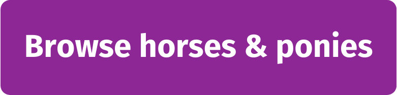 Browse horses & ponies for sale