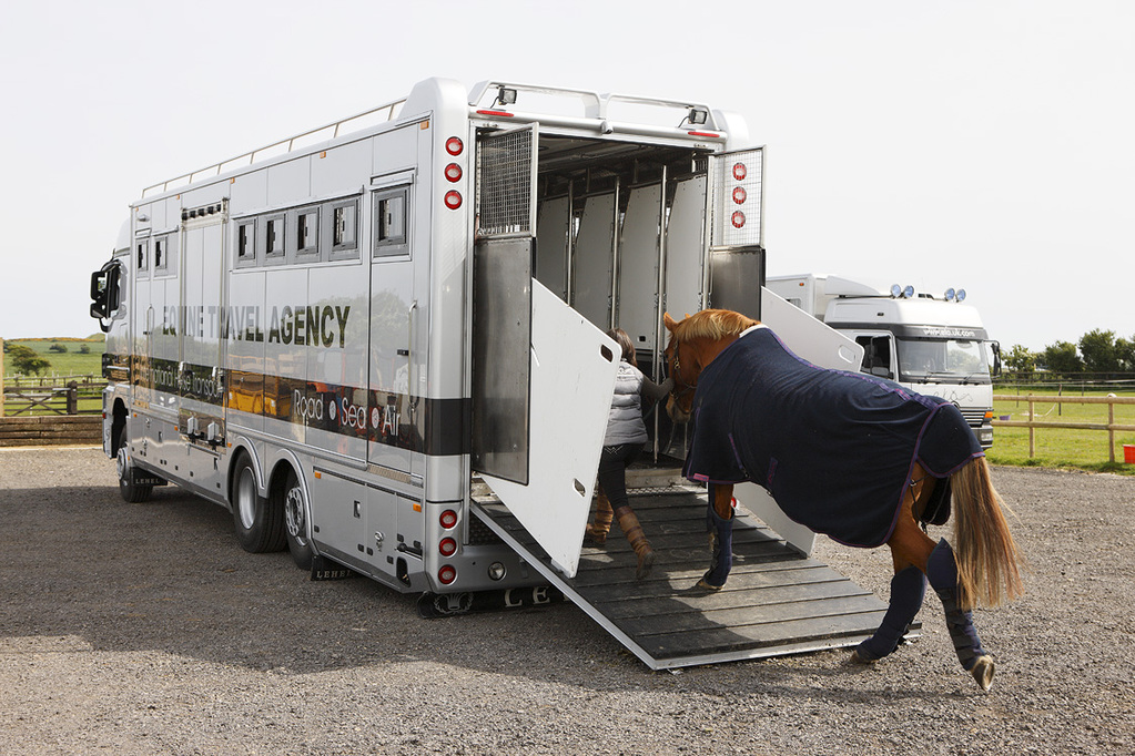 horse loading onto a silver horsebox
