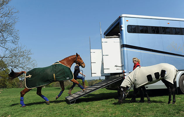 horse being loaded onto a horsebox with a horse tied up on the outside