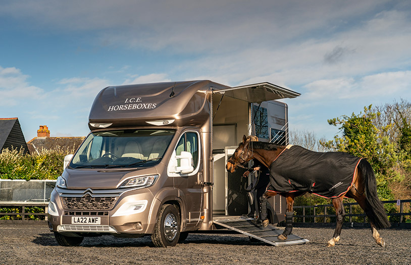 Person loading a horse into a 3.5t horsebox