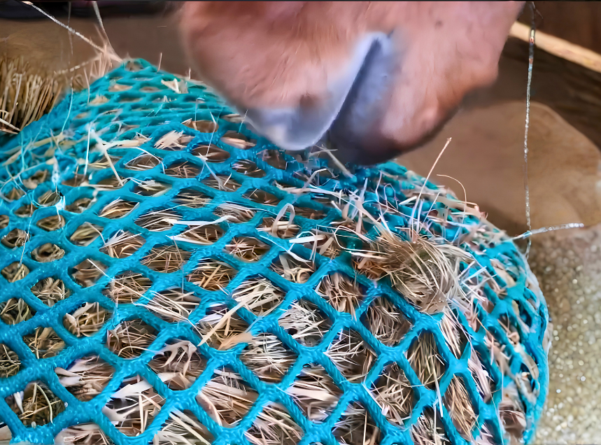 Horse taking small pieces of hay through the Nibbleze Toby slow-feed net