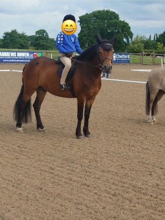 "Whiskey" All Rounder