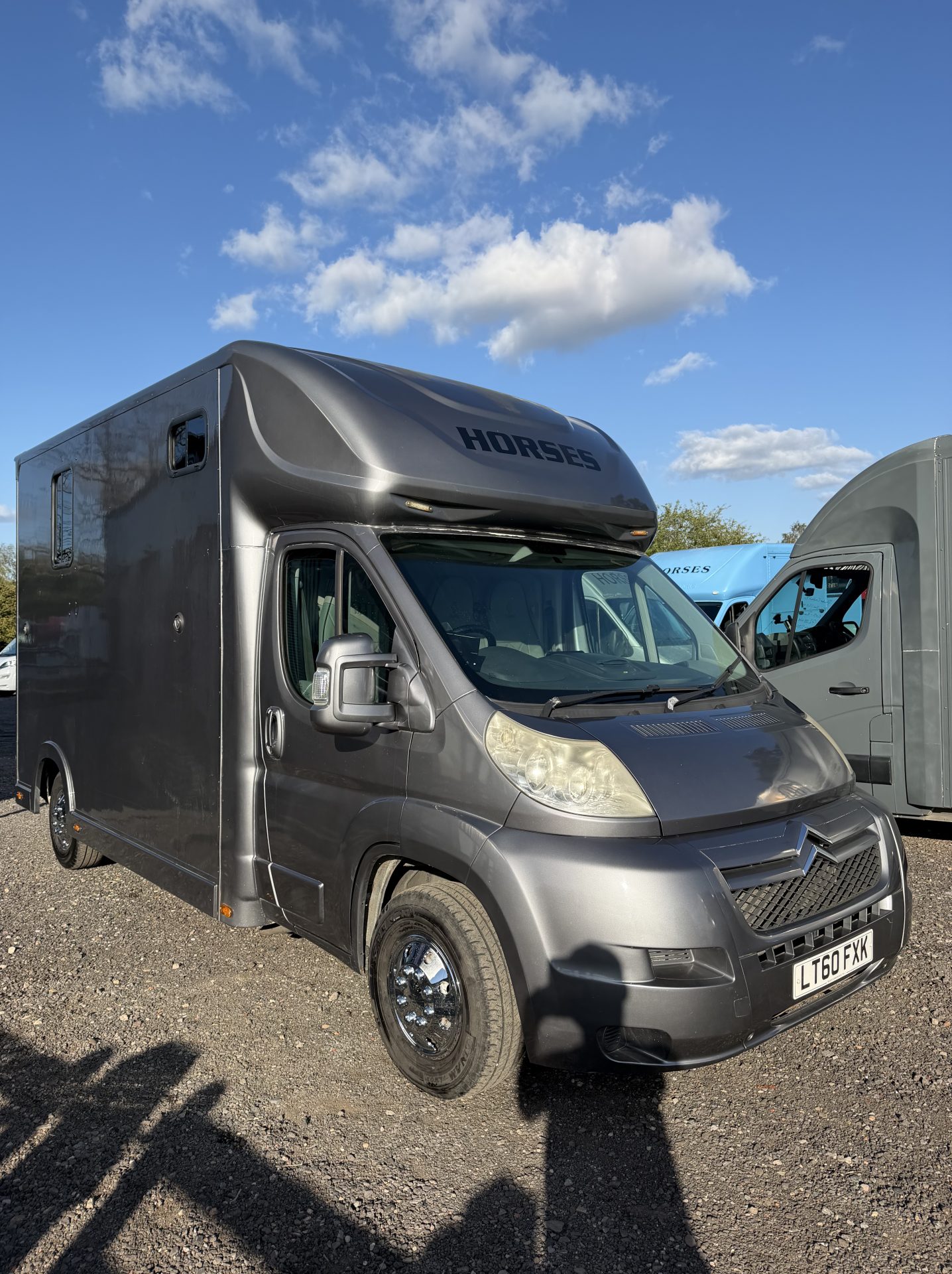 Regent   Horsebox