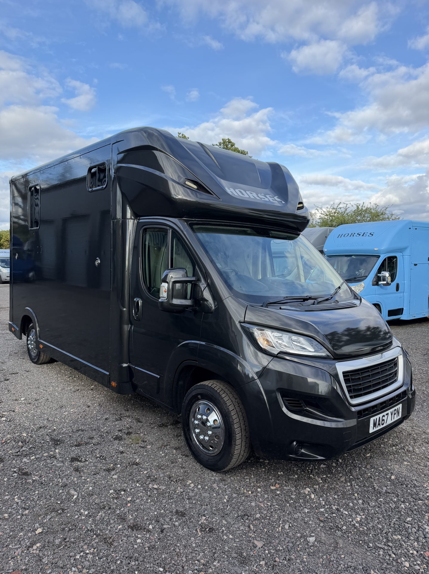 Regent   Horsebox