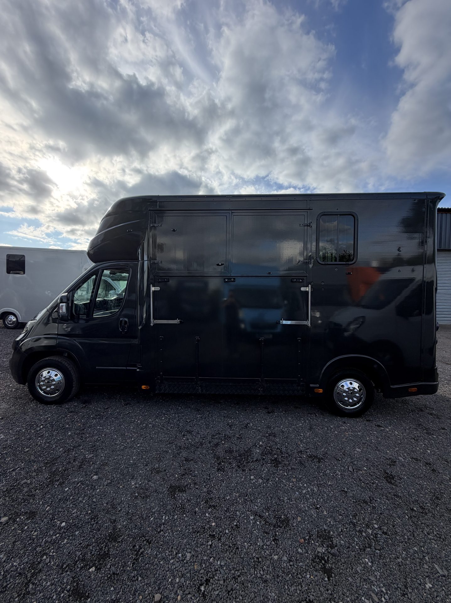 Regent   Horsebox - Horseboxes Up to 3.5 Tonnes in 