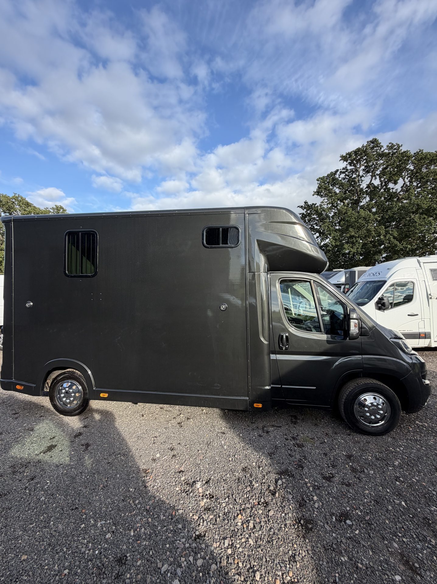 Horseboxes Up to 3.5 Tonnes - Regent   Horsebox in 