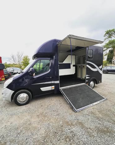 Trade   Horsebox - Horseboxes Up to 3.5 Tonnes in 