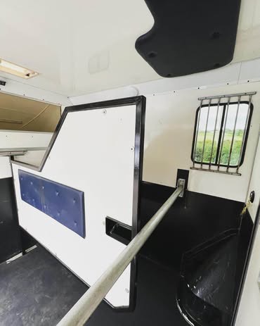 Trade   Horsebox 