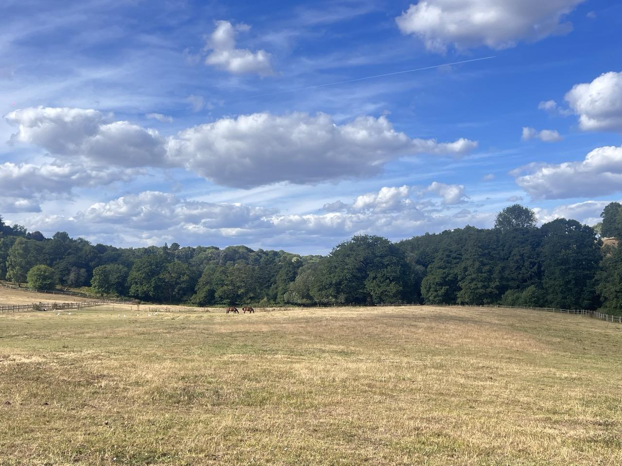 Property for sale in Hascombe - 