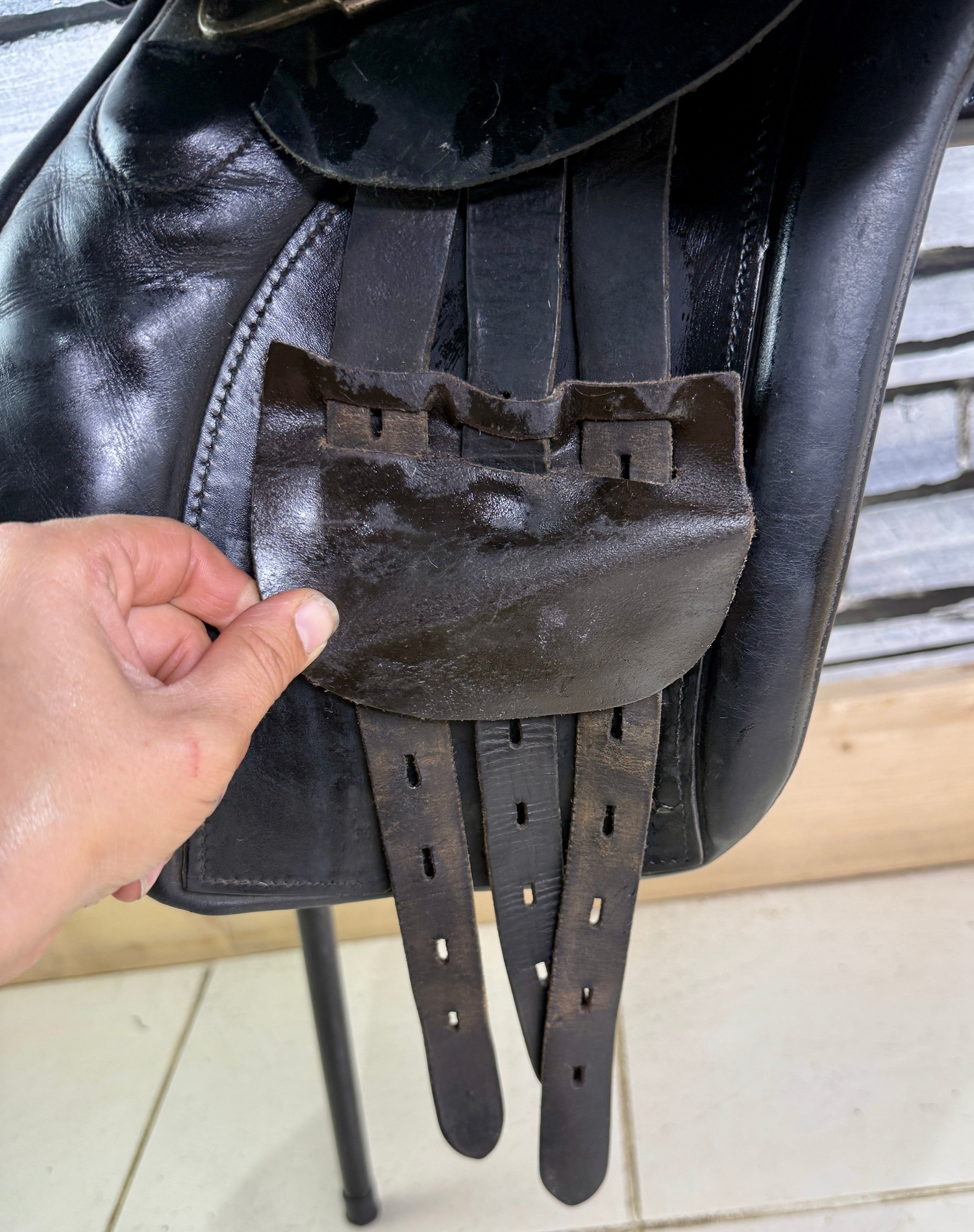 16” MW Elico/Paul Jones Pony GP/Jump Saddle - Black 