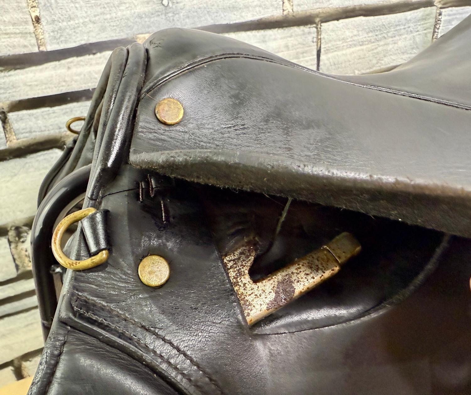  - 16” MW Elico/Paul Jones Pony GP/Jump Saddle - Black in 