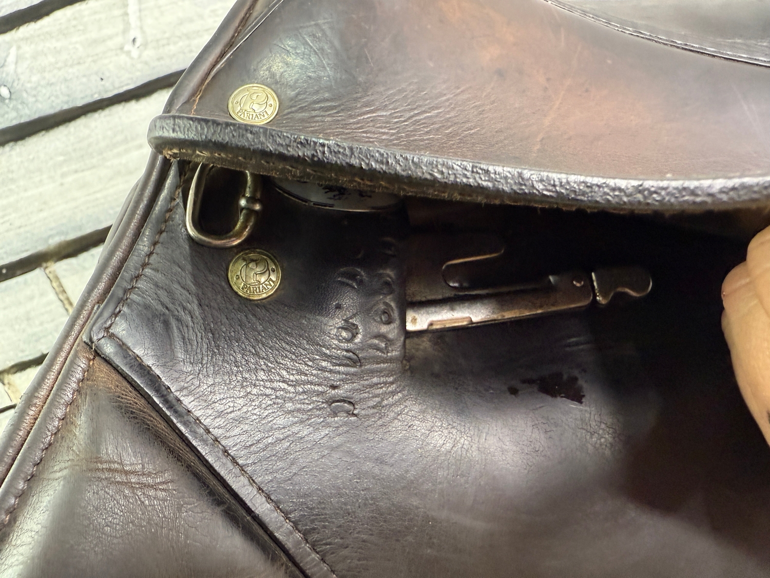 17” MW Pariani Close Contact Jump Saddle - Brown