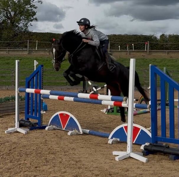 "Olaf"   All Rounder - All Rounders 