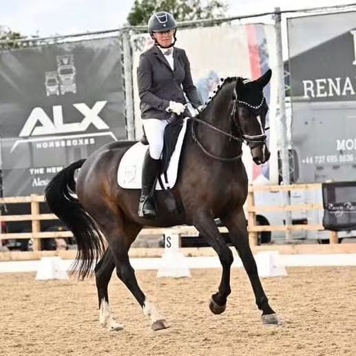 "Olaf"   All Rounder - 