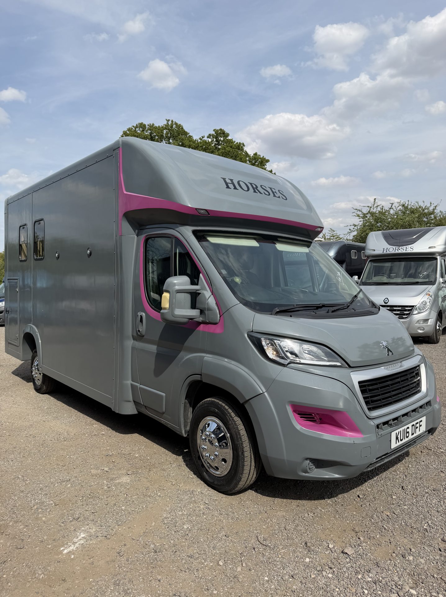 Equibabe   Horsebox