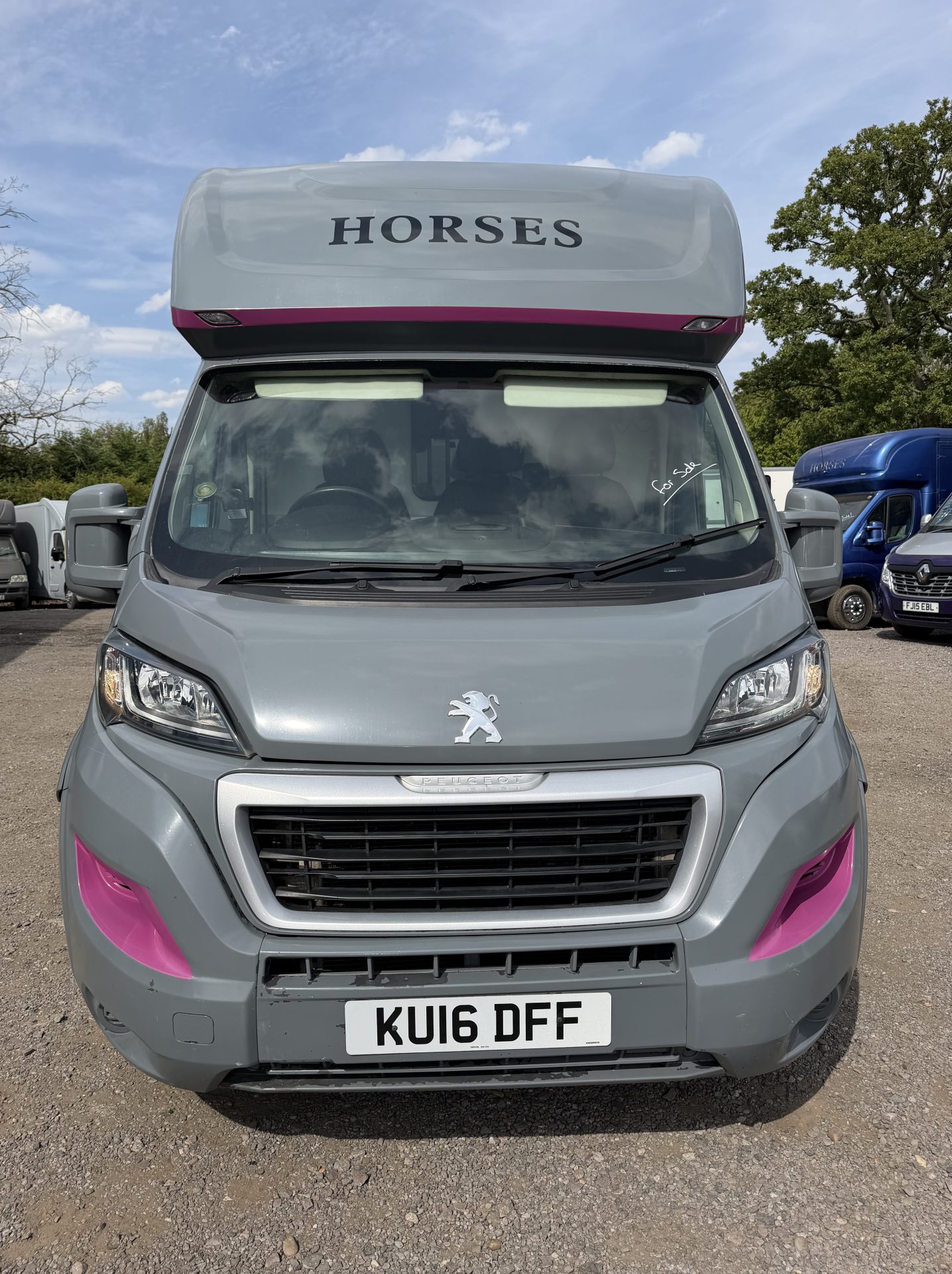  Equibabe   Horsebox
