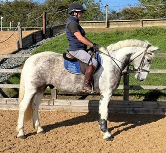 "Baloo" All Rounder