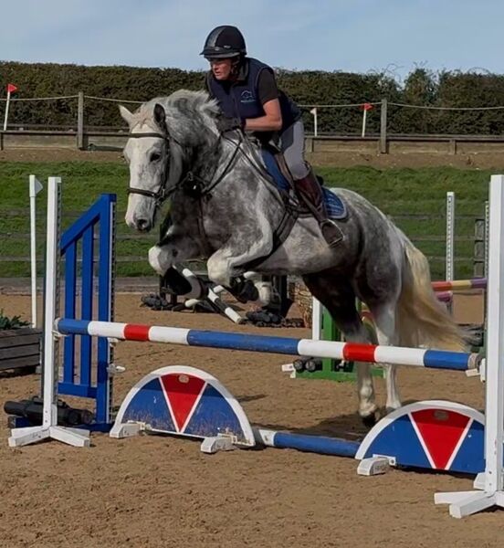 All Rounders ID x cob - "Baloo"   All Rounder