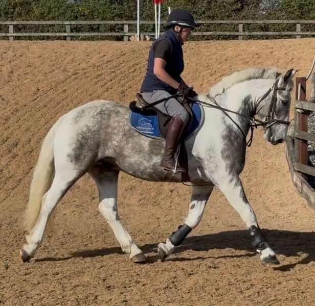 "Baloo"   All Rounder - All Rounders