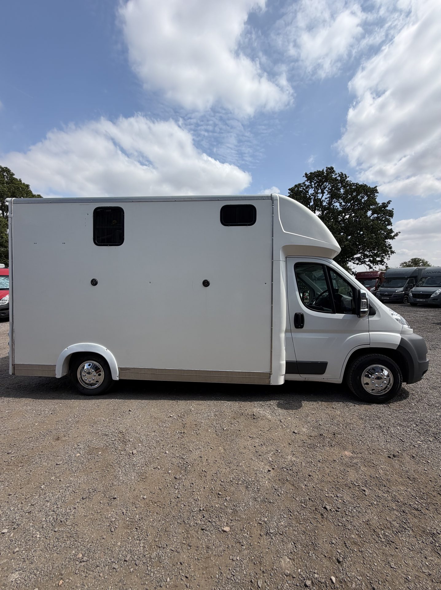 Strong   Horsebox - Horseboxes Up to 3.5 Tonnes in 