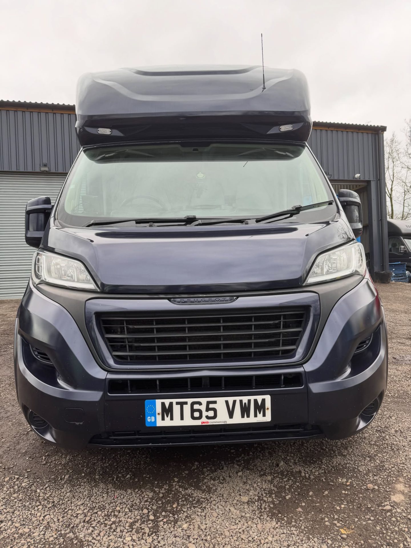 Foxy   Horsebox