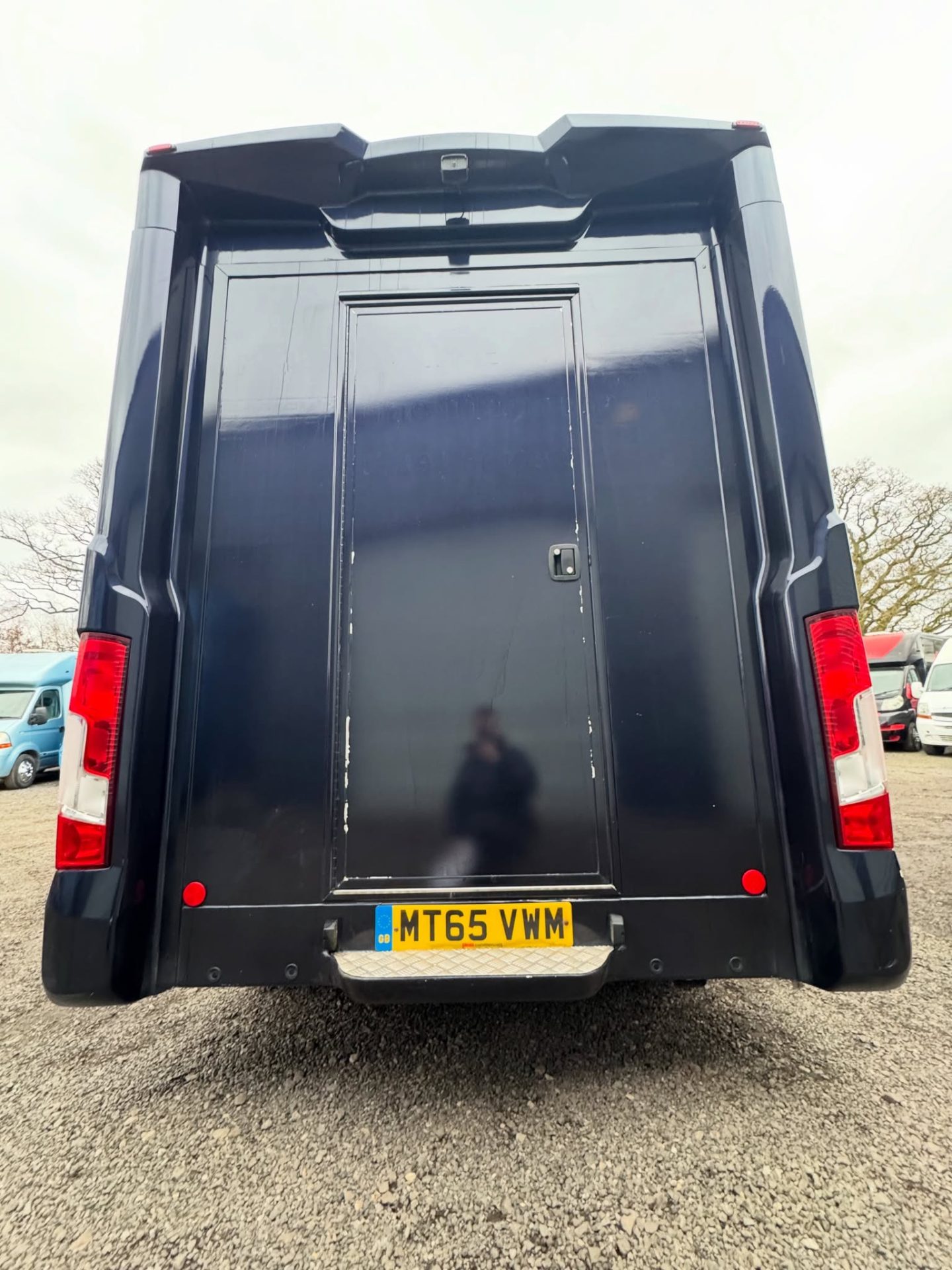 Foxy   Horsebox - Horseboxes Up to 3.5 Tonnes in 