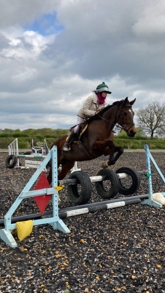 "Leita" Bay Mare All Rounder