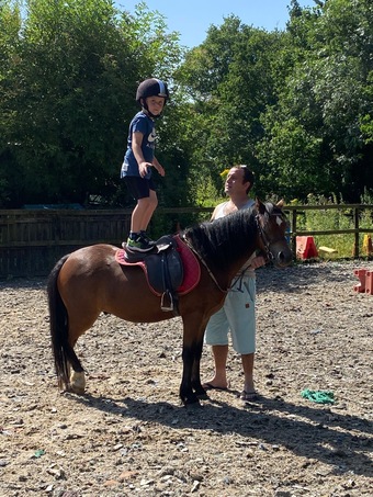 "" Bright Bay Gelding Lead Rein/First Ridden Pony