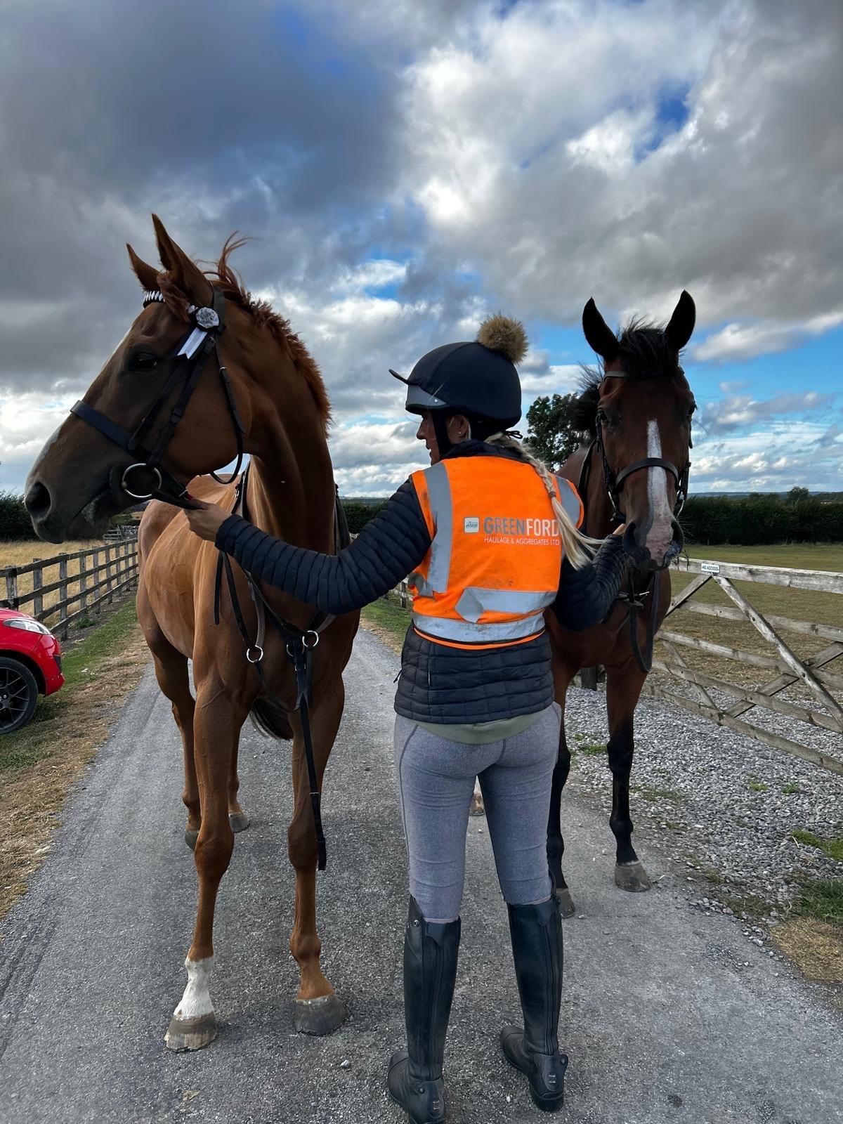 "Gaston (The Young Adonis)" Chestnut Gelding All Rounder - 