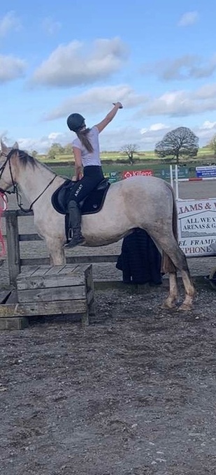 "Genal Granger" Grey Gelding Young Sport Horse