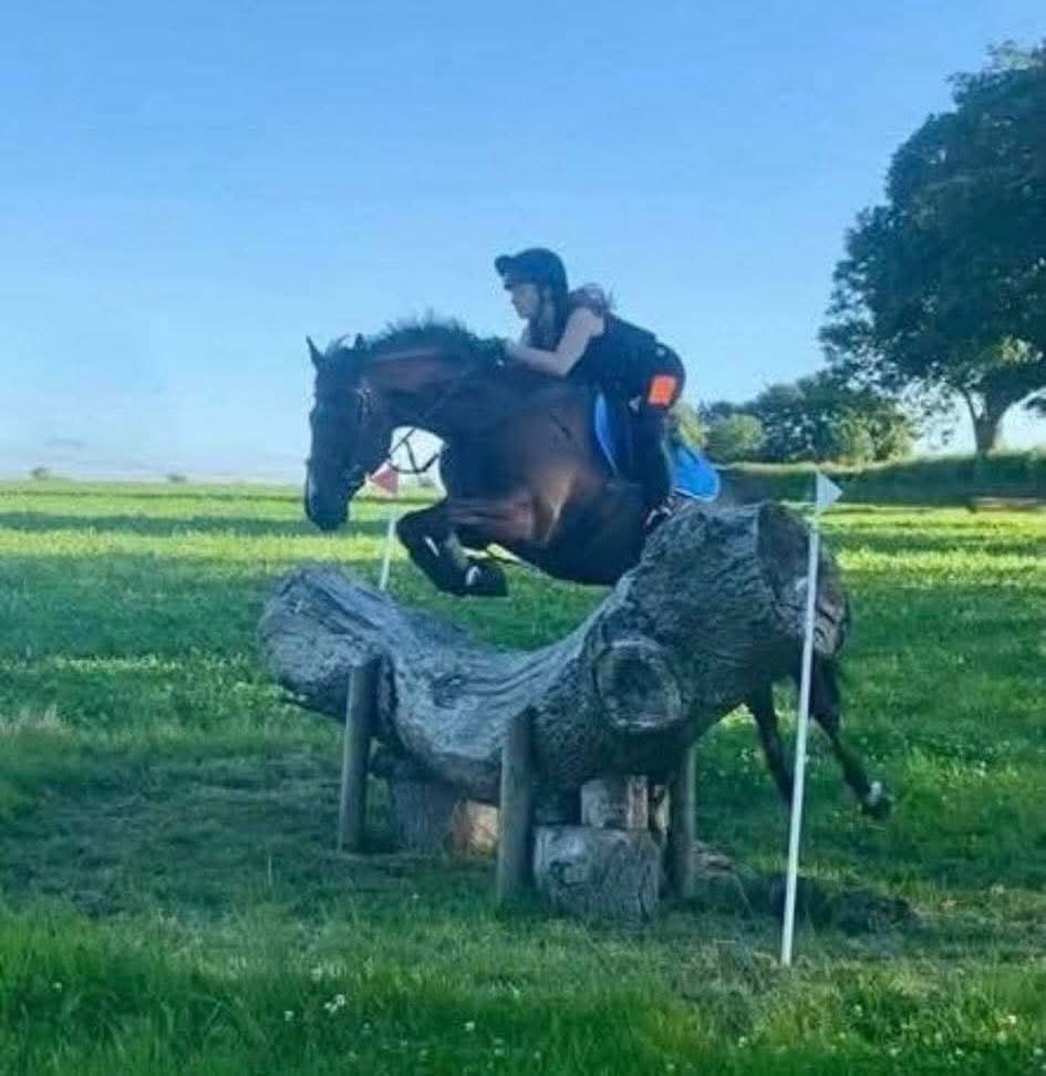 "Gunner" Black Gelding All Rounder - All Rounders 