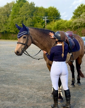 "May: stunning, quiet, ideal amateur dream horse with ability" Chocolate Dun Mare All Rounder