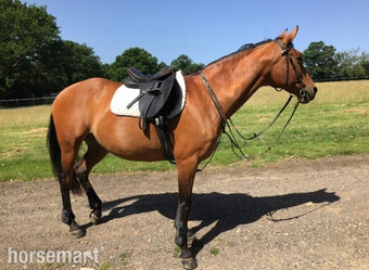 Sharer required for beautiful hacking on the Ashdown Forest 