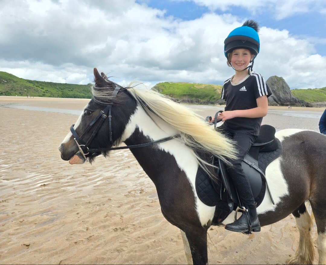 "Dolly" Skewbald Mare Family Horse - 
