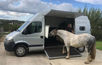 Equi-Sport Nissan Horsebox