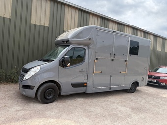 Foxy Foxy stallion Renault Horsebox