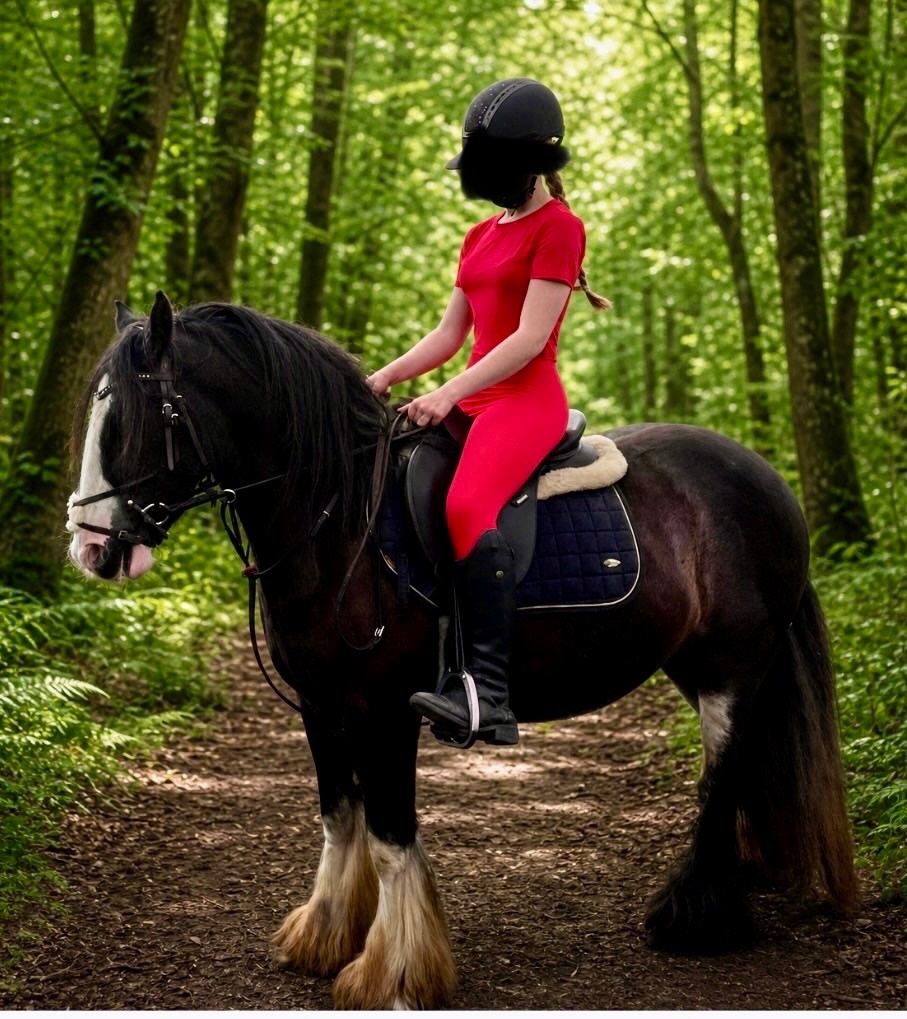 Cobs & Heavy Horses  - "Casper" Other Colour Gelding Cob/Heavy Horse