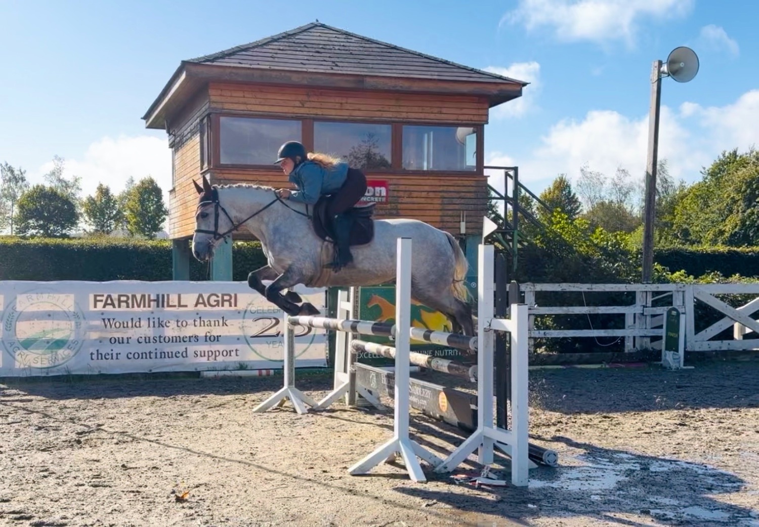 "King: scopey, brave, honest, kind-hearted showjumper type" Dapple Grey Gelding Show Jumper