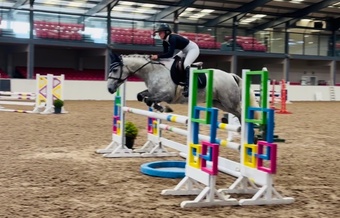 "King: scopey, brave, honest, kind-hearted showjumper type" Dapple Grey Gelding Show Jumper