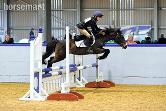 "Bathleyhills Royal Breeze (Ethel)" Bay Mare Pony Club Pony