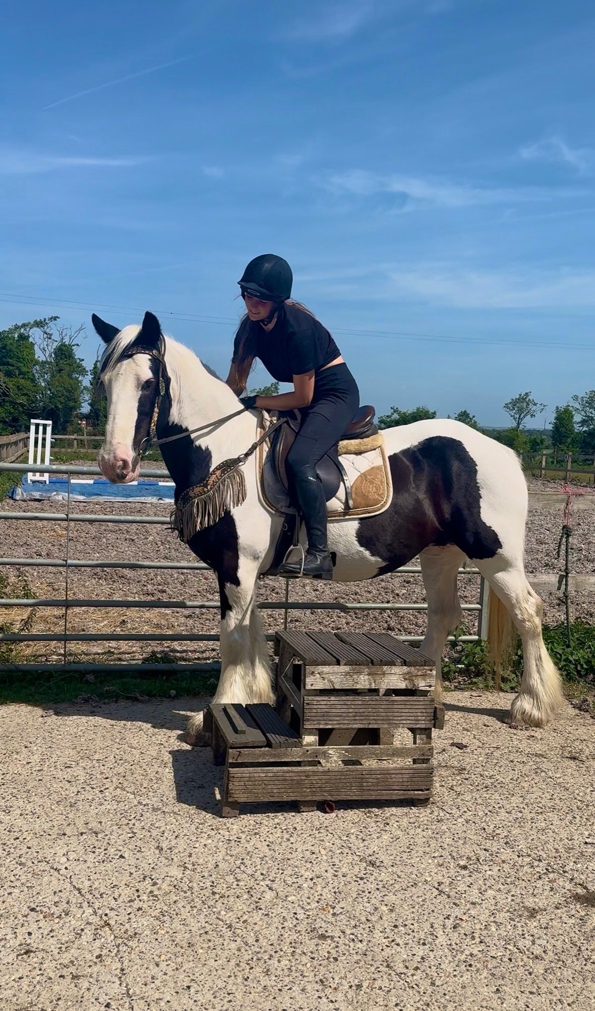 All Rounders  - "DREAM" Piebald Mare All Rounder